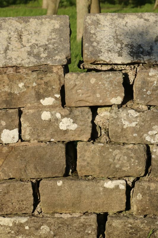 Stone Wall Repair in Englishtown, NJ